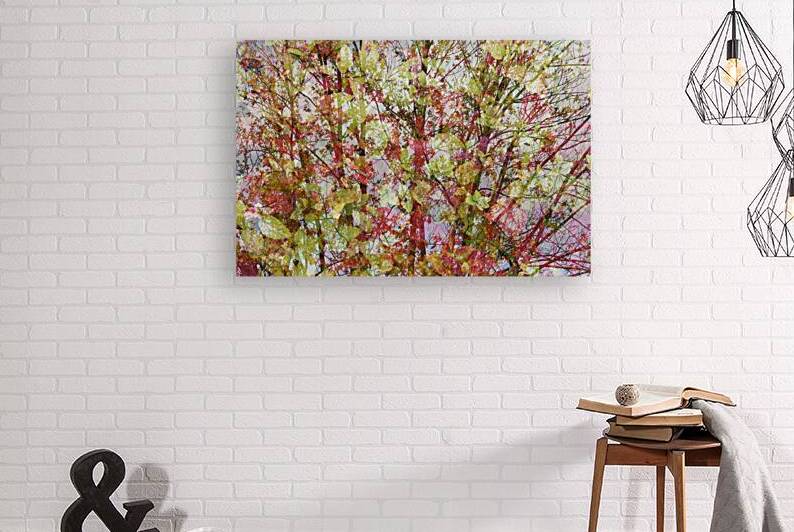 Tree by Guenther Schwermer