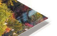 Autumn HD Metal print