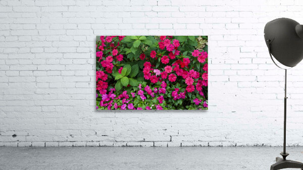 Flowers Wall Preview