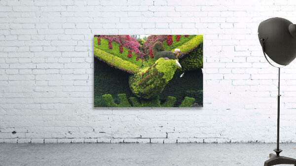 Botanic Wall Preview