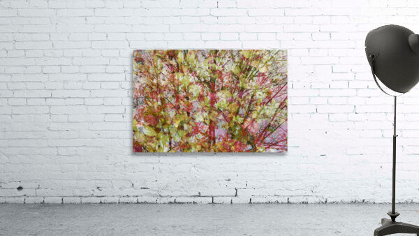 Tree Wall Preview