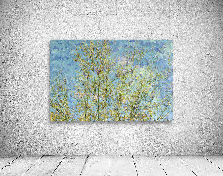 Tree Wall Preview