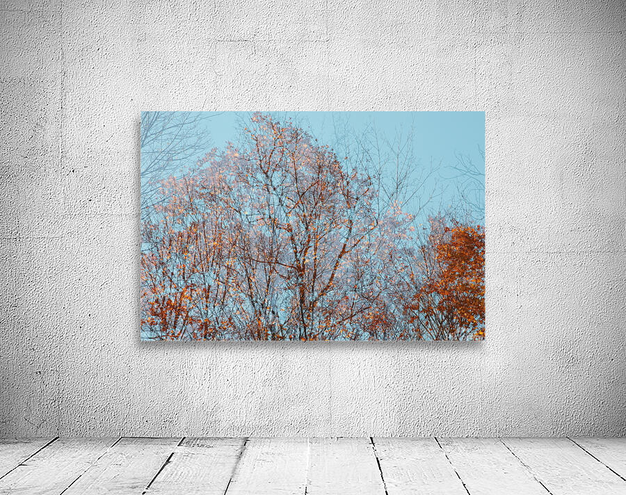 Tree Wall Preview