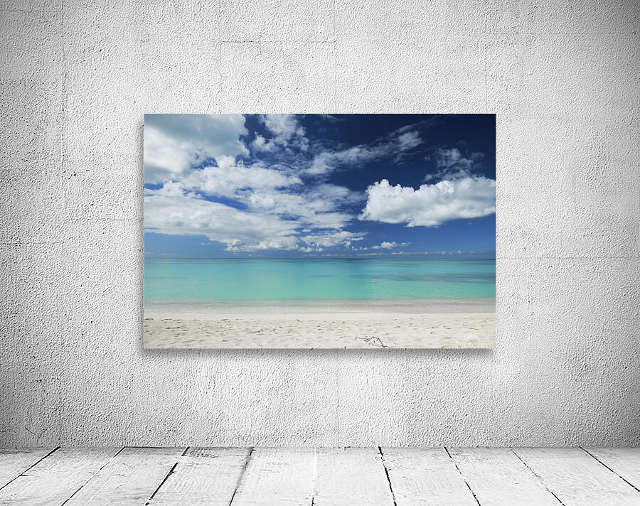 Antigua Wall Preview
