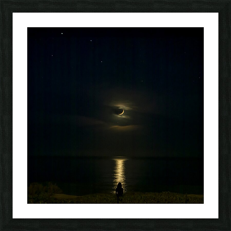 Moonlit View Picture Frame print