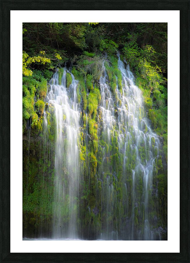 Mossbrae Picture Frame print