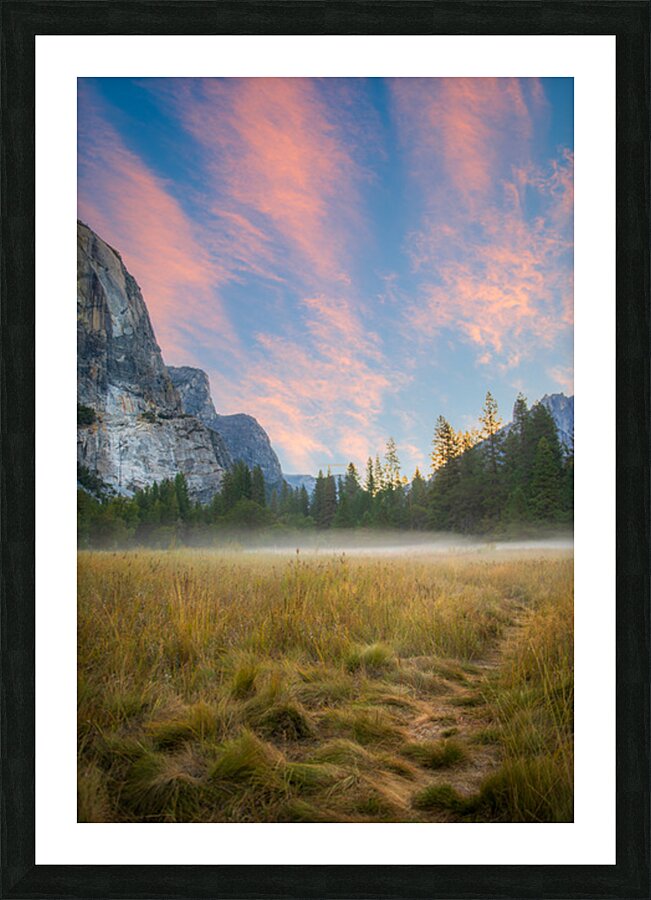 Dawn at the Meadow Picture Frame print