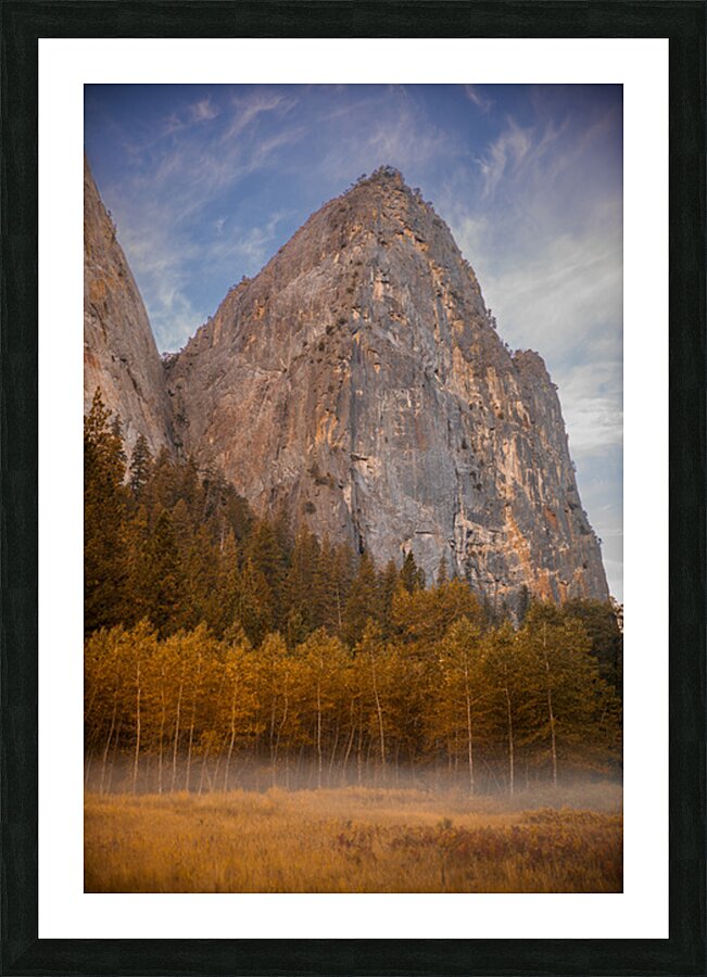 Cathedral Picture Frame print