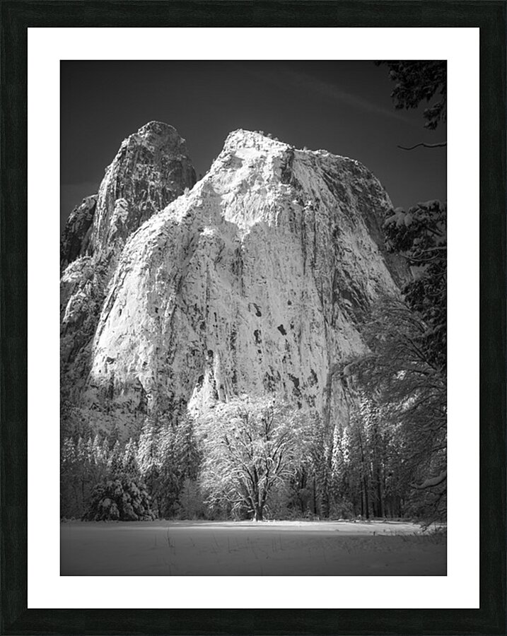 A Winter Oak Picture Frame print