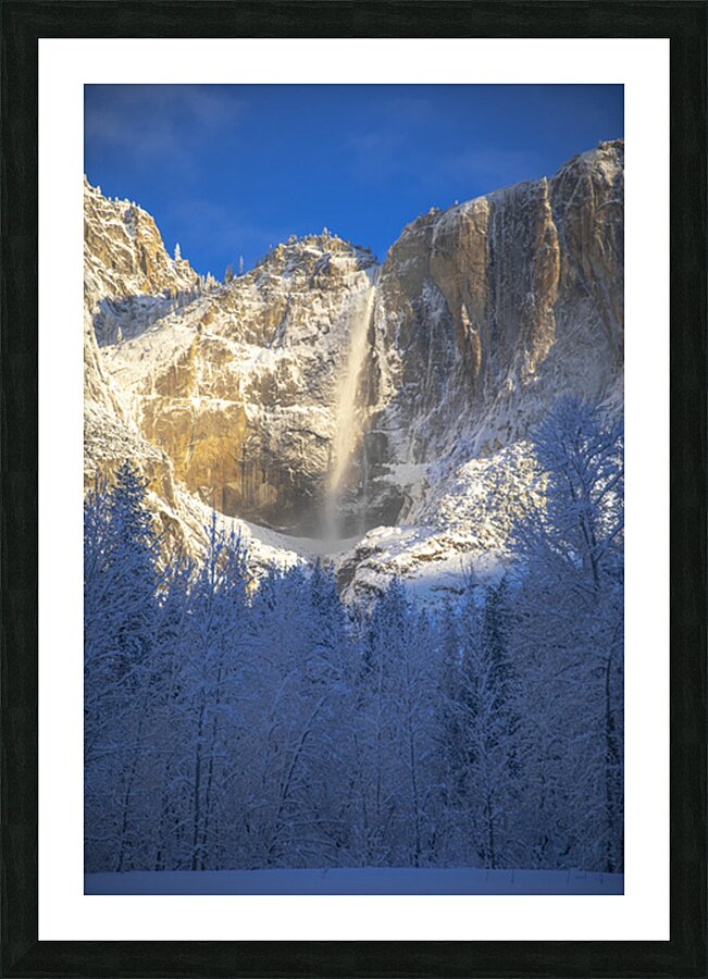 Quintessence 2 Picture Frame print