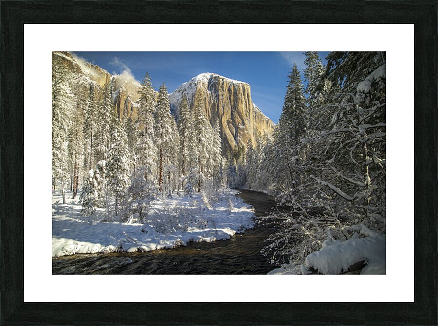 Quintessence 3 Picture Frame print