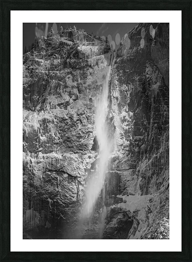 Quintessence 5 Picture Frame print