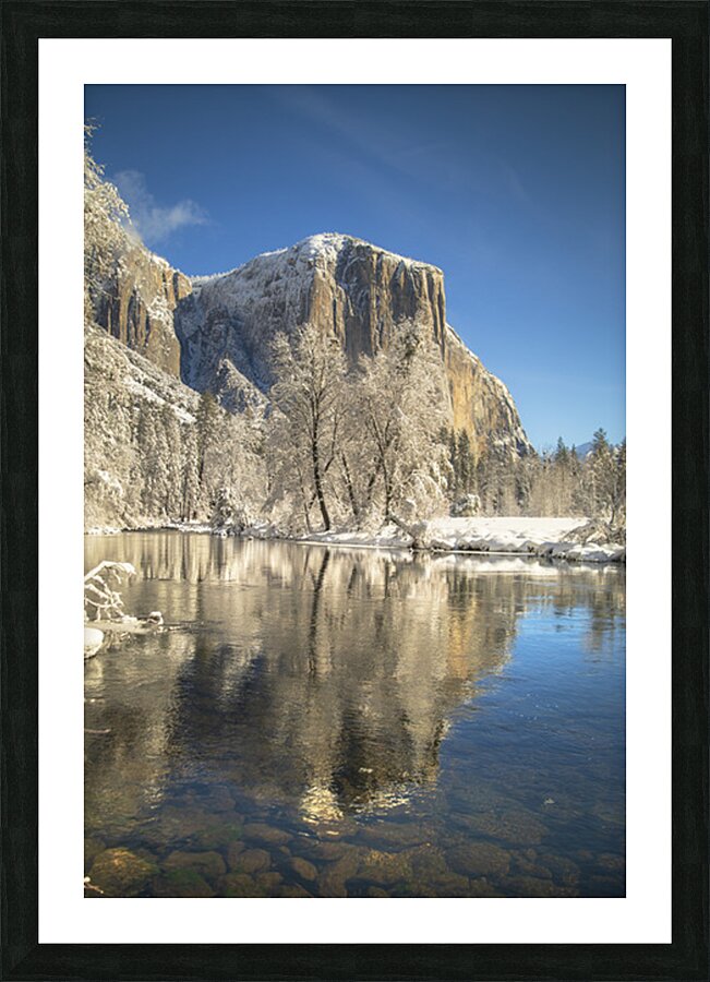 Quintessence 7 Picture Frame print