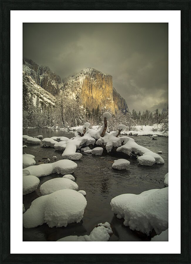 Quintessence 9 Picture Frame print