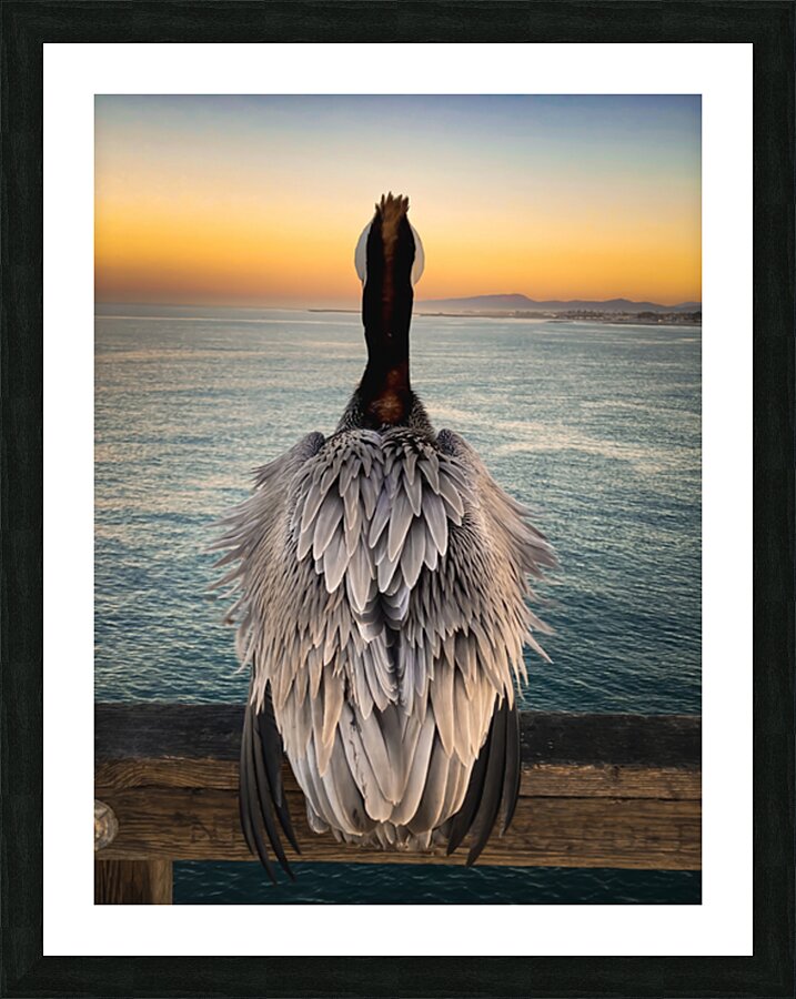 Pondering Life Picture Frame print