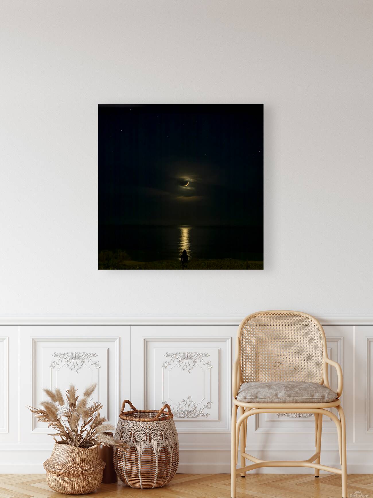 Moonlit View Reproduction
