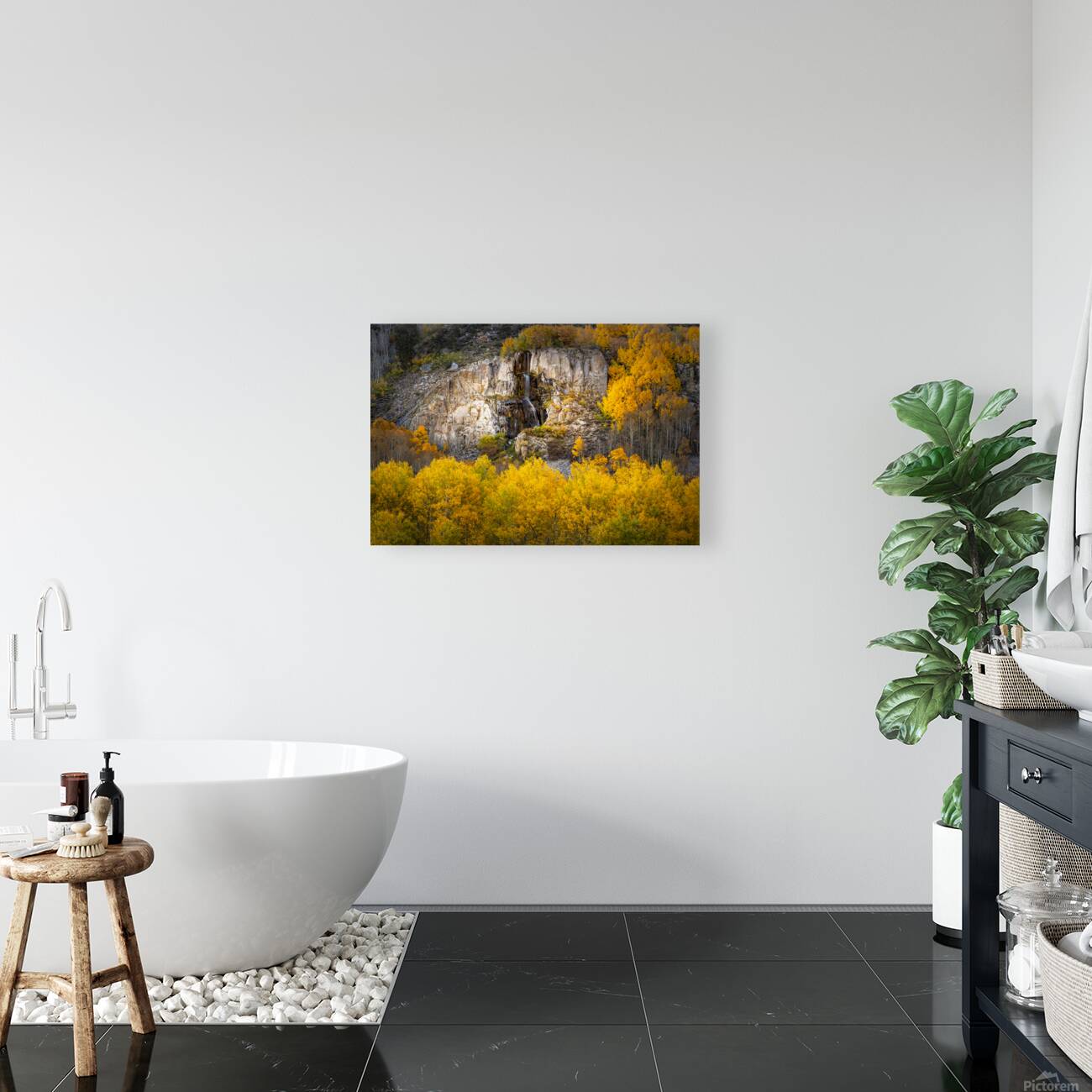 Water Fall Reproduction