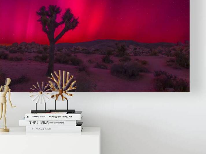 The Northern Lights at Joshua Tree by Light and Magic Art
