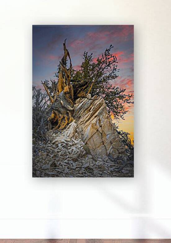 Resilience by Light and Magic Art
