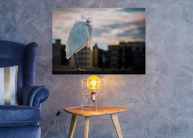 Sorry To Wake You by Light and Magic Art
