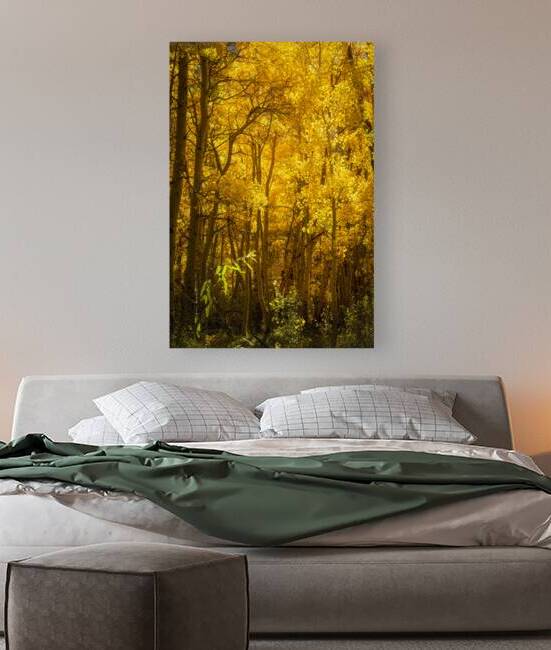 Autumn Glow Reproduction