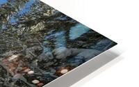 Quintessence 3 HD Metal print