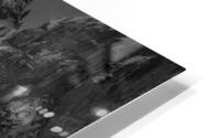 Quintessence 5 HD Metal print