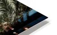 The Del HD Metal print