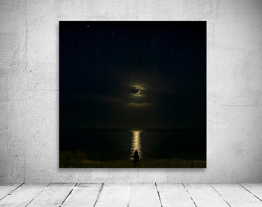 Moonlit View Wall Preview
