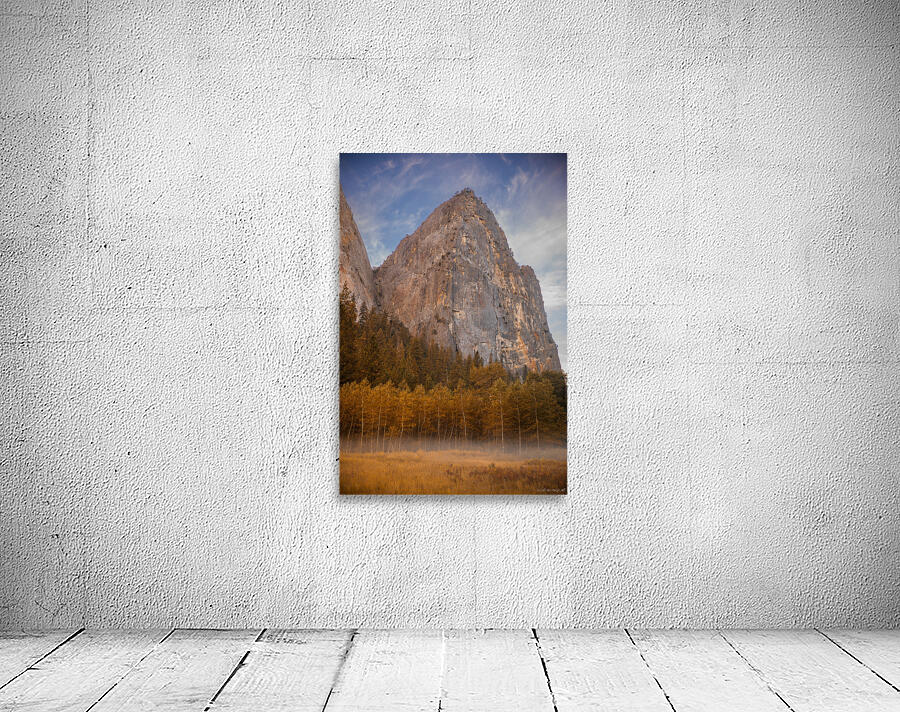 Cathedral Wall Preview