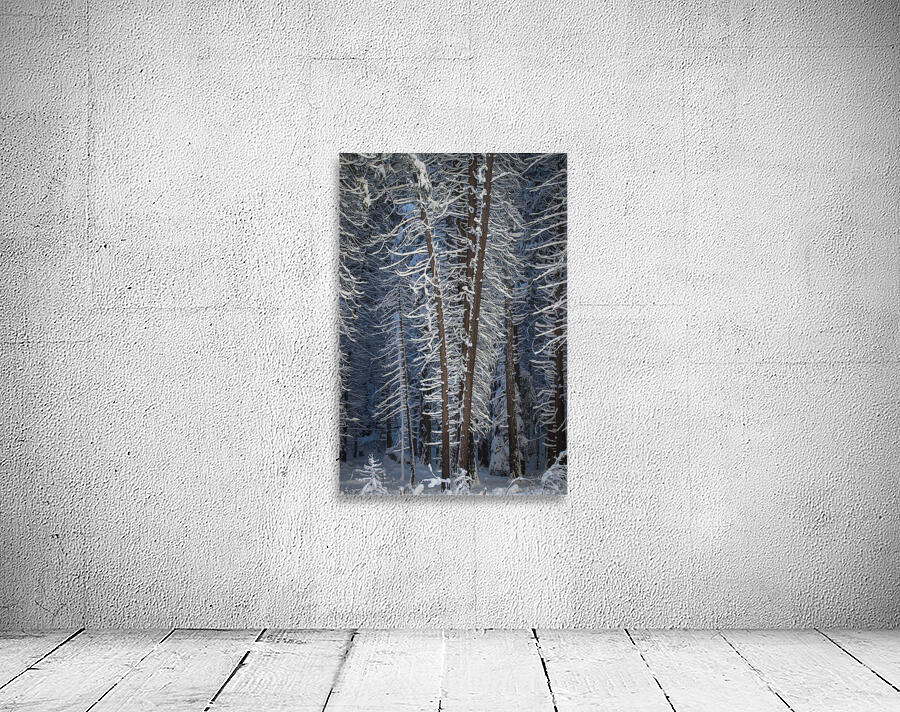 Quintessence 1 Wall Preview