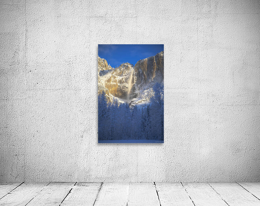 Quintessence 2 Wall Preview