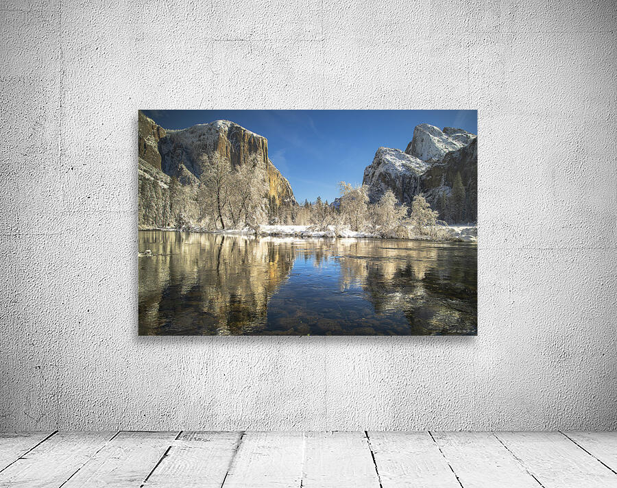 Quintessence 4 Wall Preview