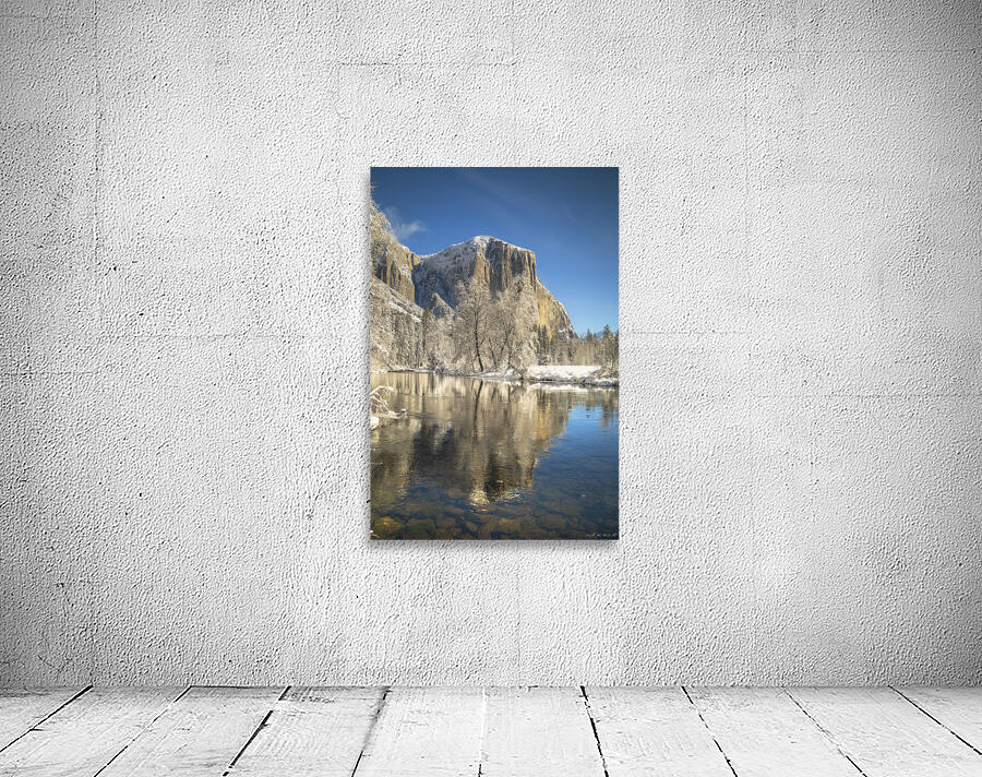 Quintessence 7 Wall Preview