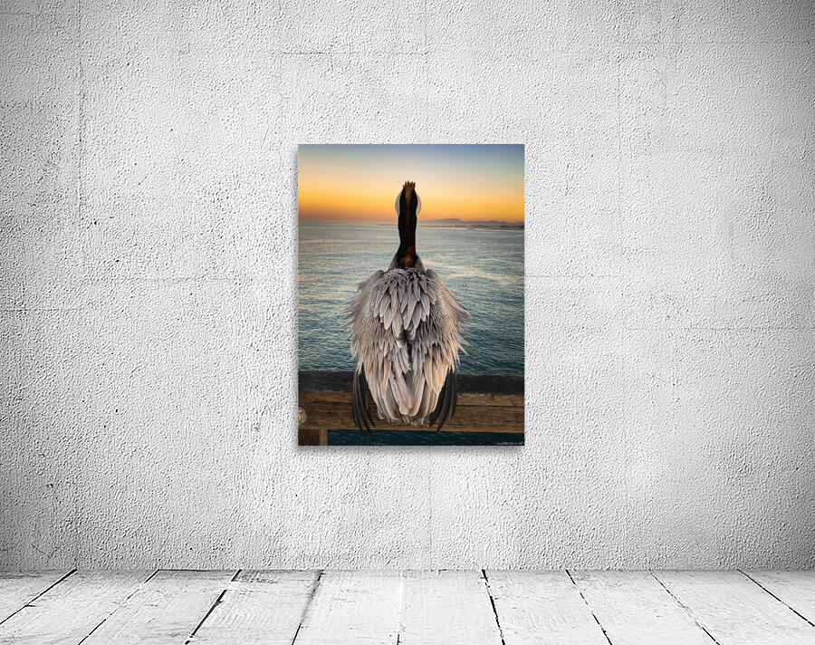 Pondering Life Wall Preview