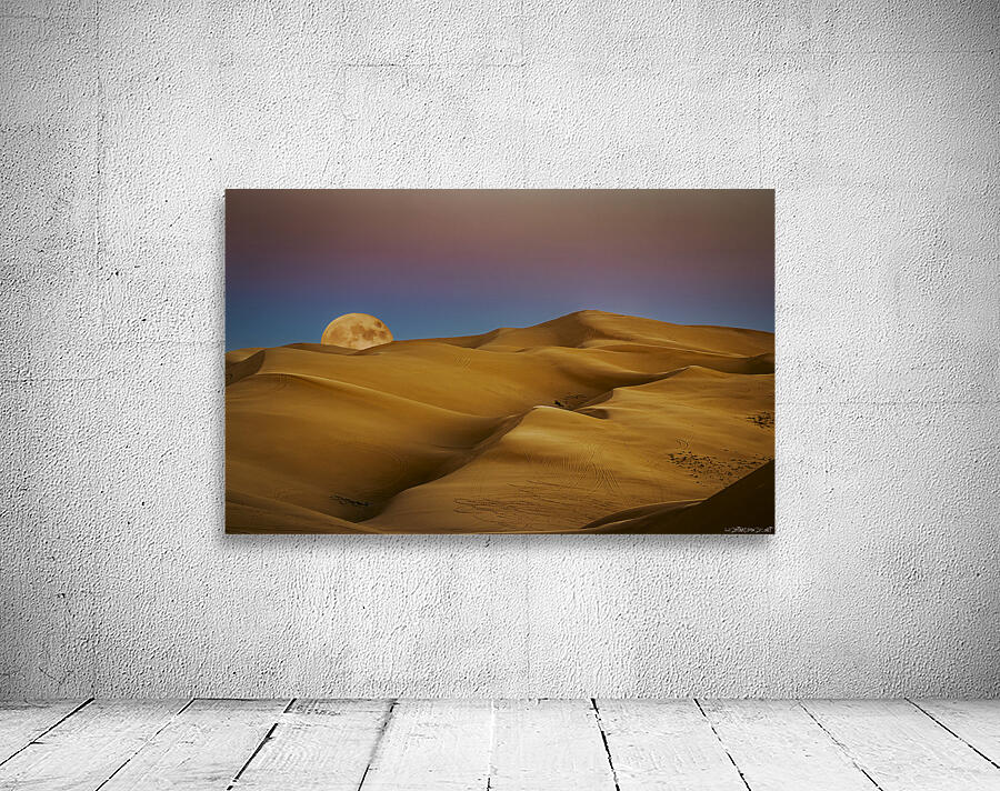 Dune Moon Wall Preview