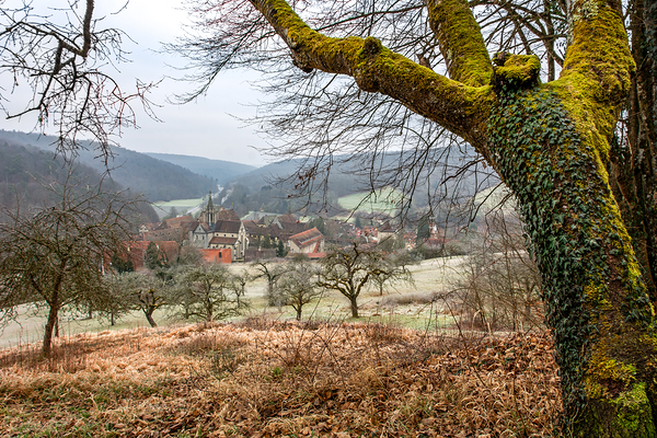 Landscape around the ancient monastery of Bebenhausen in winter Digital Download