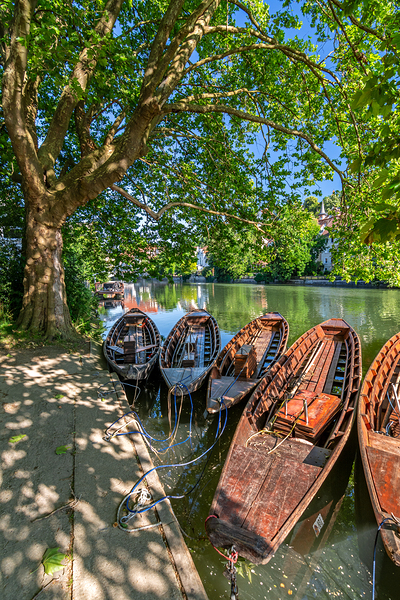 Traditional punt boats Stocherkahn at the pier at the Neckar River in Tübingen Germany Digital Download