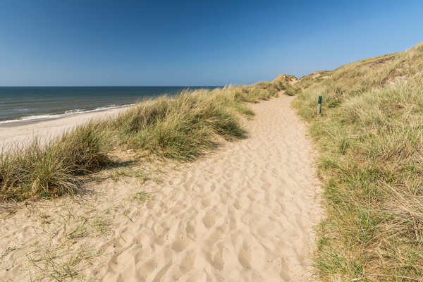 Hiking in the Dunes Digital Download