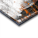 Trees and orange leaves in a park on a foggy morning  Acrylic print