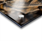 Closeup macro shot of withered brown maple leaf covered by beautiful ice crystals  Acrylic print