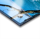 Lonely Fisherman in Rio de Janeiro Acrylic print