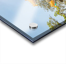 Buddhist Lama Temple Acrylic print