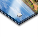 Bushes Acrylic print