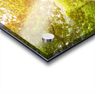 Forest Bridge Acrylic print
