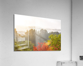 Autumn Acrylic Print