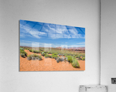 Bushes Acrylic Print