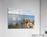 Baltic Sea at Sunset  Acrylic Print