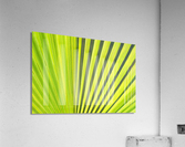 Leaf Acrylic Print