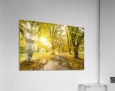Autumn Road Acrylic Print